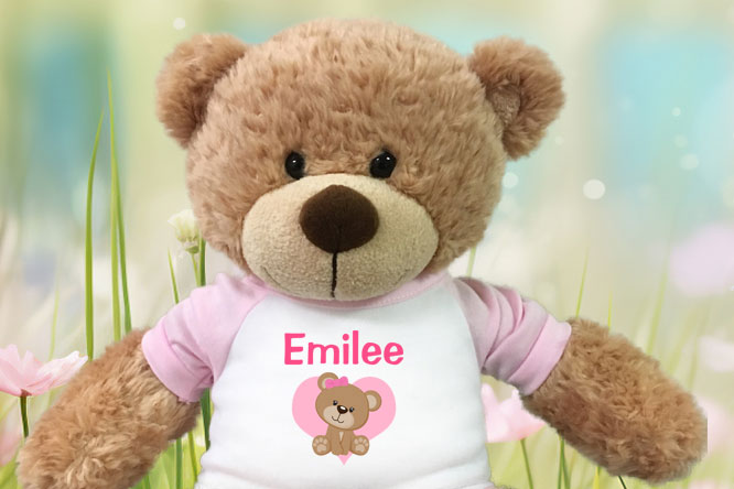 Personalized Teddy Bears and Stuffed Animals for All Occasions