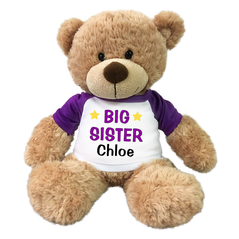 Personalized Big Sister Teddy Bear - 13" Bonny Bear Purple
