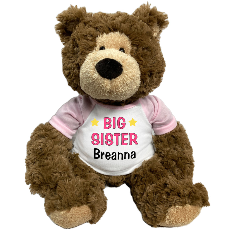 Big Sister Teddy Bear - Personalized 14" "Bear Hugs"