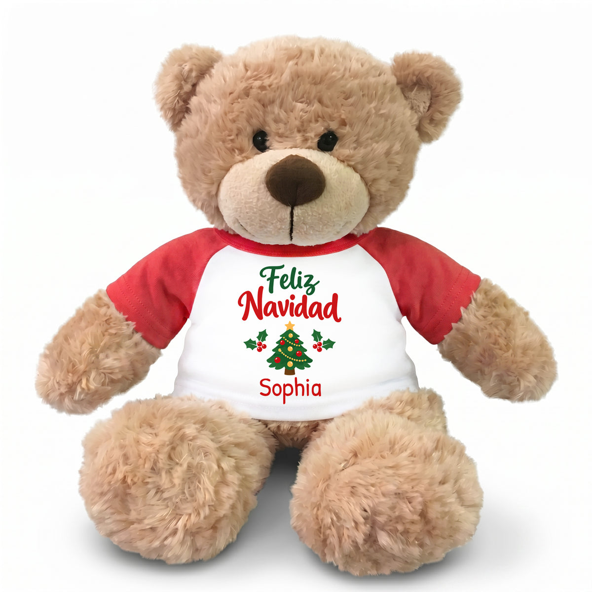 Personalized Christmas Teddy Bear - 13 Inch Bonny Bear