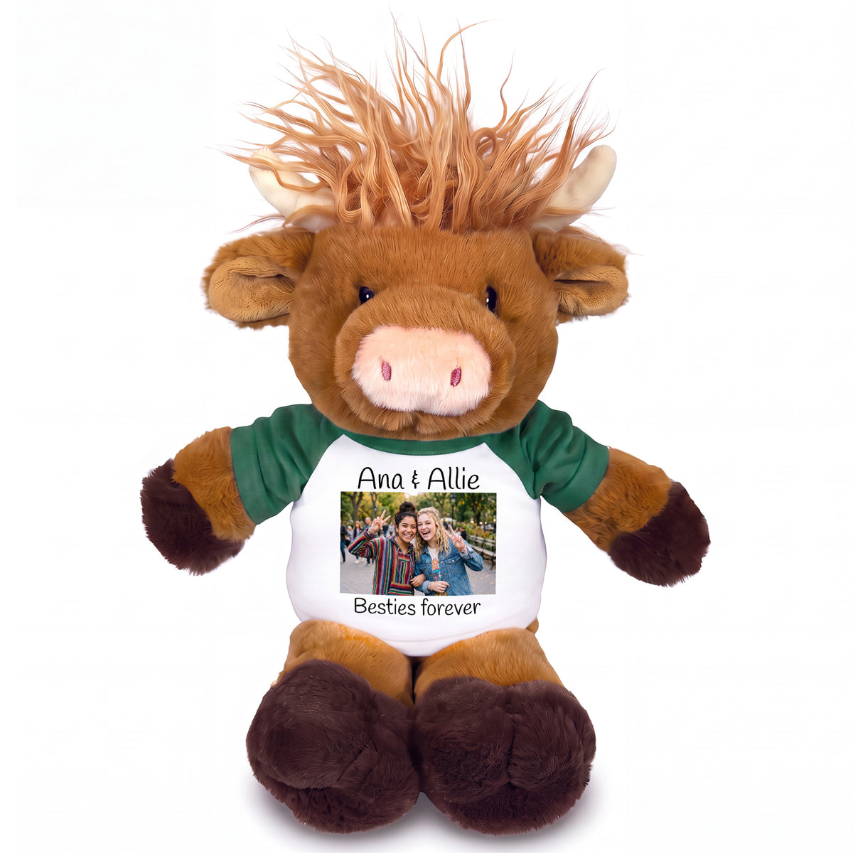 Personalized Plush Scottish Highland Cow / Mucklecoo - 12 Inches, with Photo & Text - Green Shirt