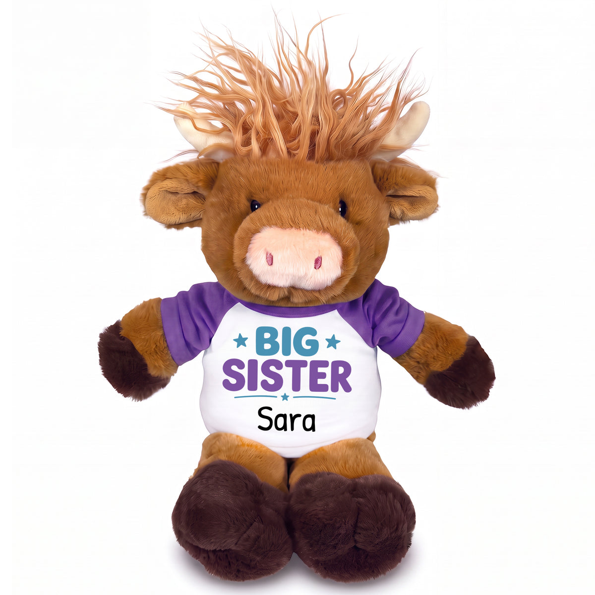 Personalized Big Sister Scottish Highland Cow - 12 inch Plush - Purple Shirt, Teal/Purple Design
