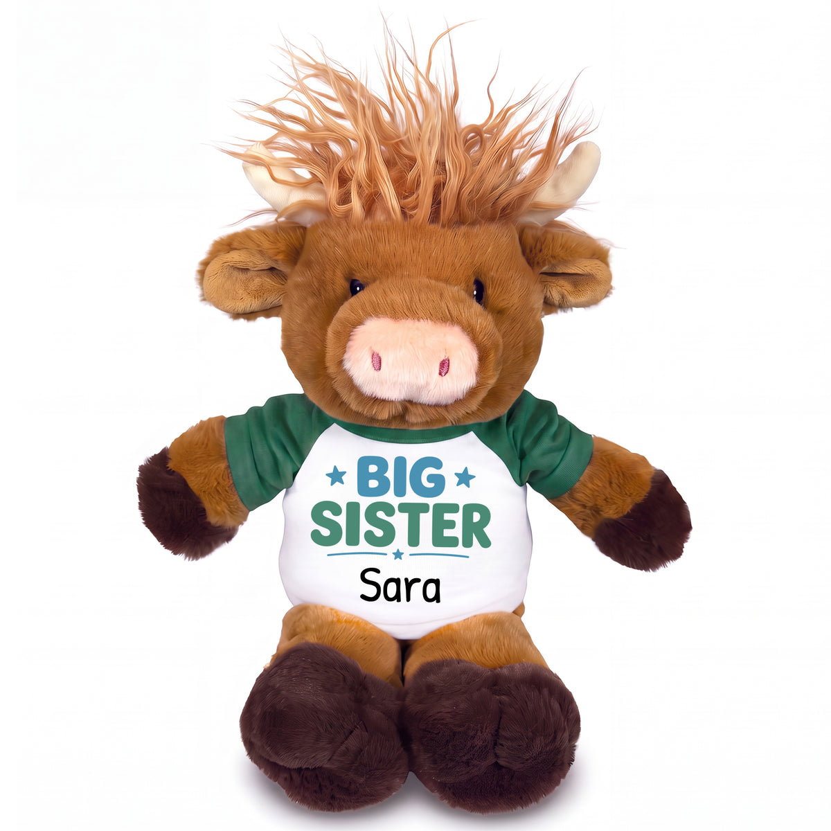 Personalized Big Sister Scottish Highland Cow - 12 inch Plush - Green Shirt, Teal/Green Design