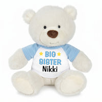 Personalized Big Sister Teddy Bear - 10 Inch White Nuzzles Bear - Light Blue