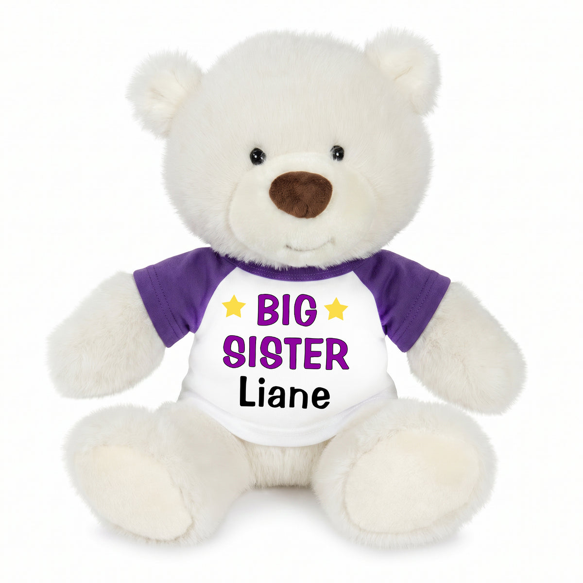 Personalized Big Sister Teddy Bear - 10 Inch White Nuzzles Bear - Purple