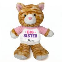 Personalized Big Sister Stuffed Cat - 12 Inch Plush Tabby Cat - Pink Shirt with Pink and Purple Design