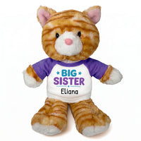 Personalized Big Sister Stuffed Cat - 12 Inch Plush Tabby Cat - Purple Shirt with Teal and Purple Design