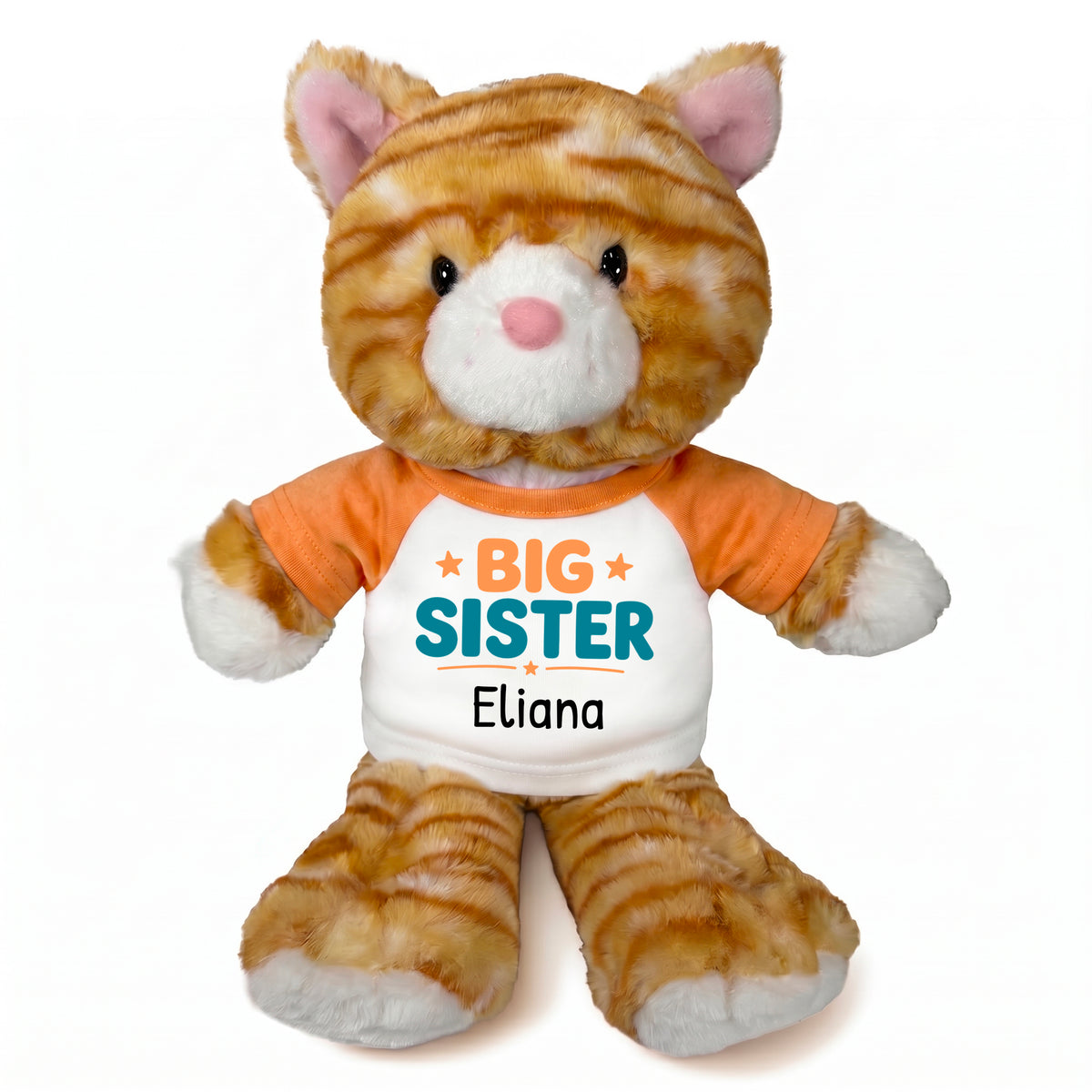 Personalized Big Sister Stuffed Cat - 12 Inch Plush Tabby Cat - Orange Shirt with Orange and Teal Design