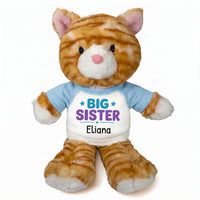 Personalized Big Sister Stuffed Cat - 12 Inch Plush Tabby Cat - Light Blue Shirt with Teal and Purple Design