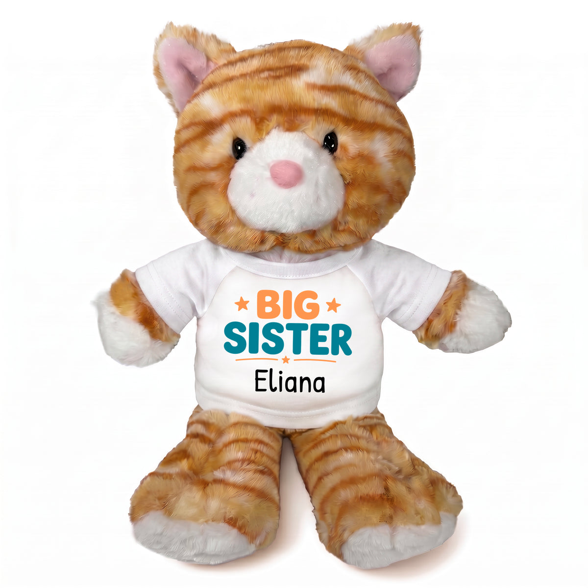 Personalized Big Sister Stuffed Cat - 12 Inch Plush Tabby Cat - White Shirt with Orange and Teal Design