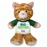 Personalized Big Brother Stuffed Cat - 12 Inch Plush Tabby Cat - Green Shirt with Green Design
