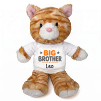 Personalized Big Brother Stuffed Cat - 12 Inch Plush Tabby Cat