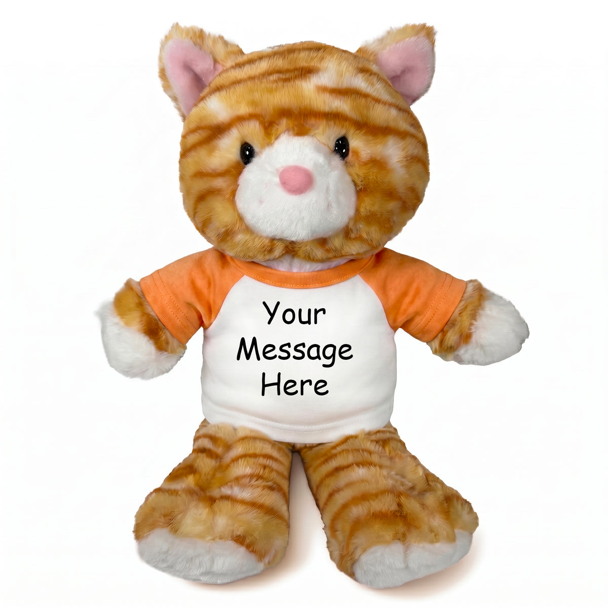 Personalized Stuffed Cat - 12 Inch Tabby Cat - Orange Shirt