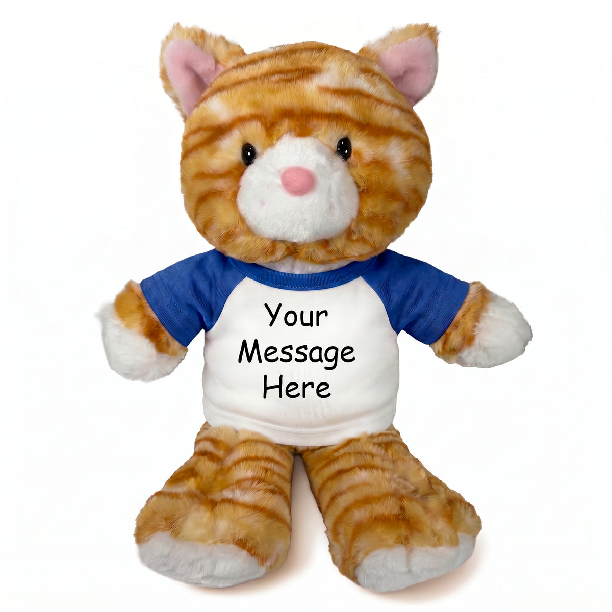 Personalized Stuffed Cat - 12 Inch Tabby Cat - Royal Blue Shirt