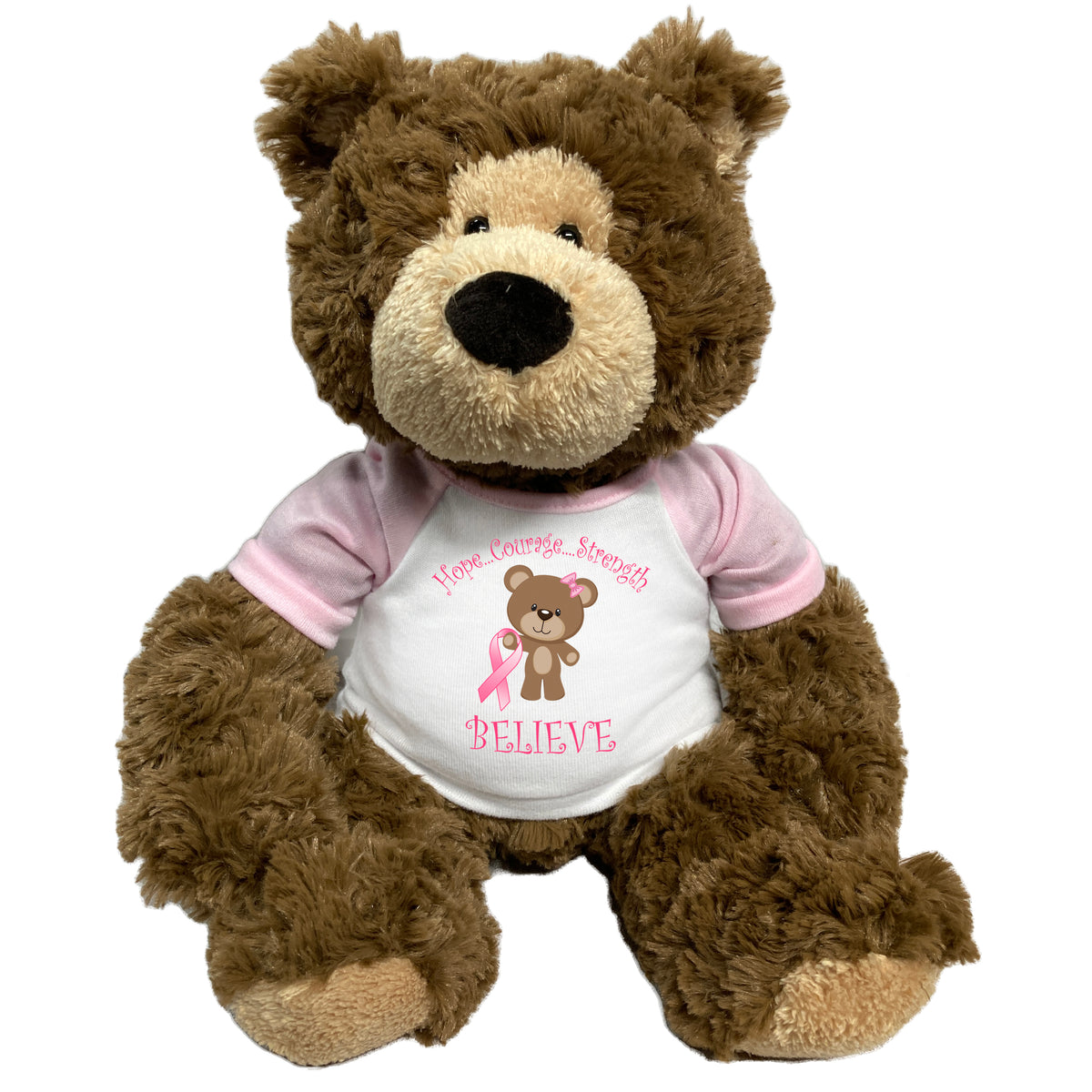 Breast Cancer Support Teddy Bear - Personalized 14 Inch Bear Hugs - Believe Design