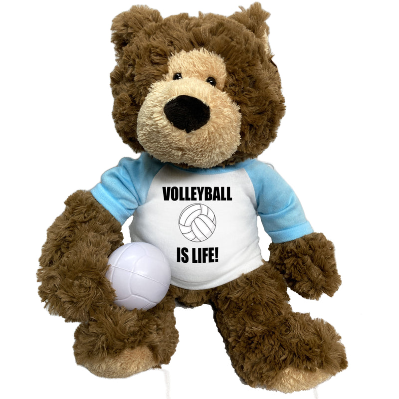 Volleyball Teddy Bear - Personalized 14" Bear Hugs