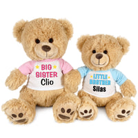 Big Sister / Little Brother Teddy Bears - Set of 2 Honey Bears, 17 Inches and 14 inches - Pink/Light Blue
