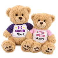 Big Sister / Little Sister Teddy Bears - Set of 2 Honey Bears, 17 Inches and 14 inches - Pink / Purple