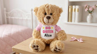 Personalized Big Sister Teddy Bear - 14" Honey Bear