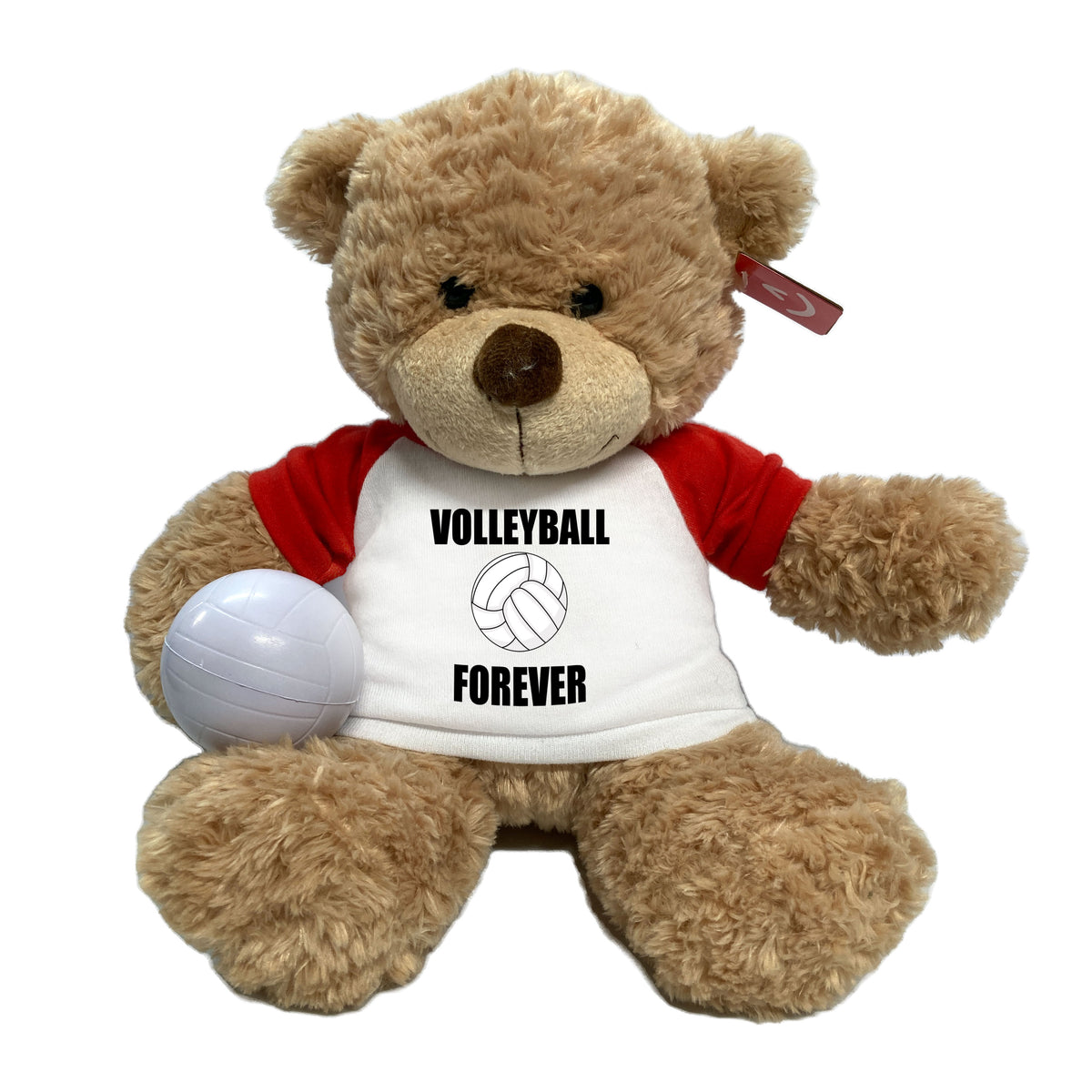 Volleyball Teddy Bear - Personalized 13" Bonny Bear