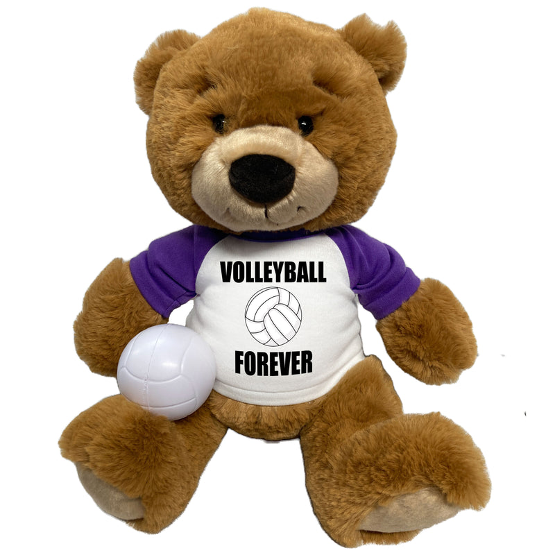 Volleyball Teddy Bear - Personalized 14" Ginger Bear
