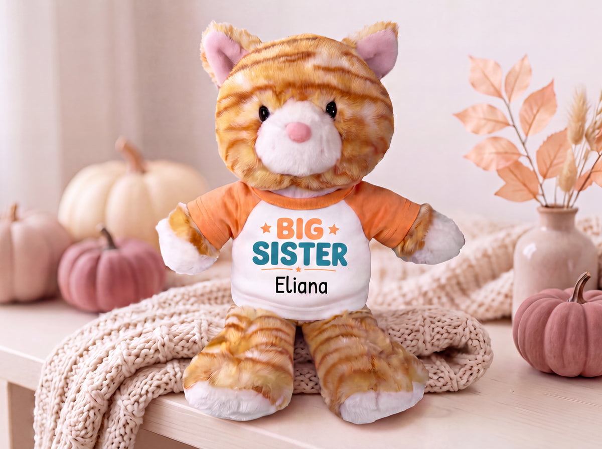 Personalized Big Sister Stuffed Cat - 12 Inch Plush Tabby Cat - Choose Shirt and Design Color and add any name