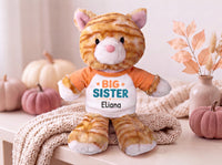 Personalized Big Sister Stuffed Cat - 12 Inch Plush Tabby Cat - Choose Shirt and Design Color and add any name