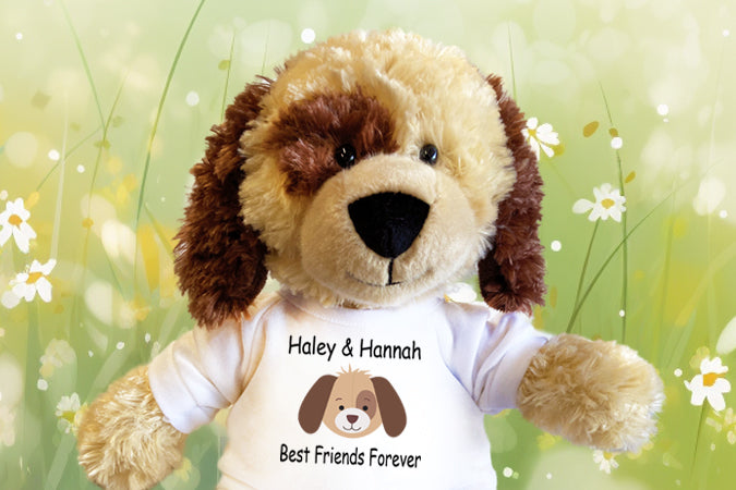 Personalized Teddy Bears and Plush Stuffed Animal gifts for all occasions