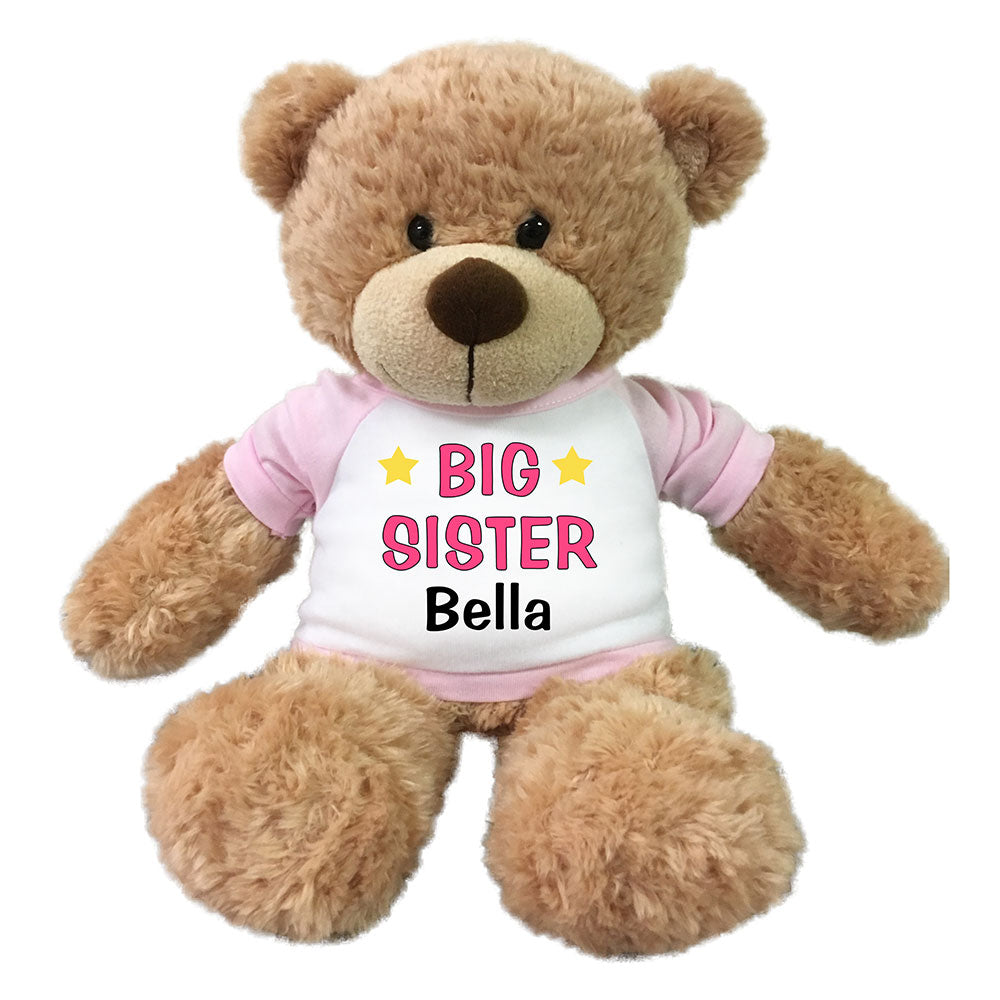 Personalized Big Sister Teddy Bear - 13" Bonny Bear Pink
